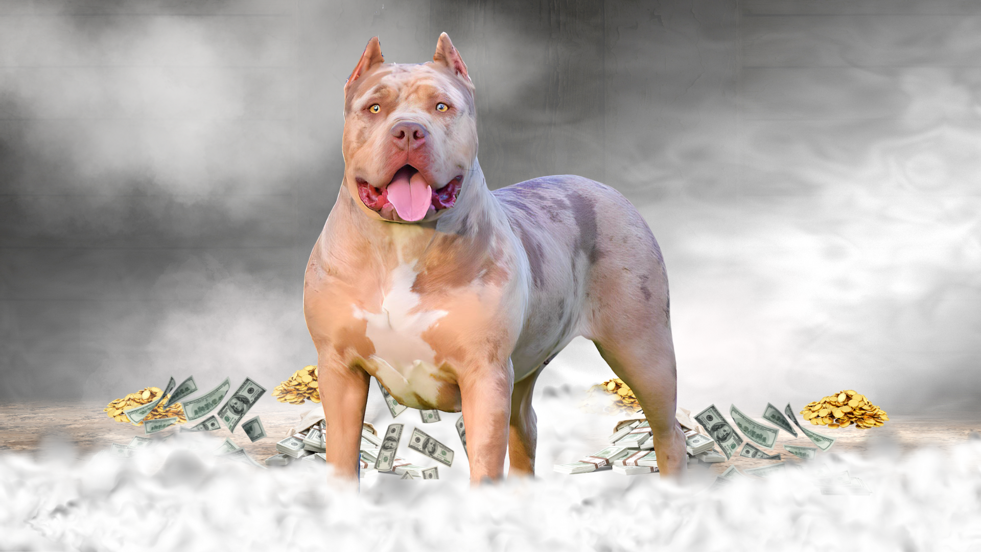 Read more about the article LVK’s Reesie of MDB
